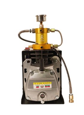 TUXING跨境高压打气机30mpa高压空气压缩机30mpa水冷45.00psi