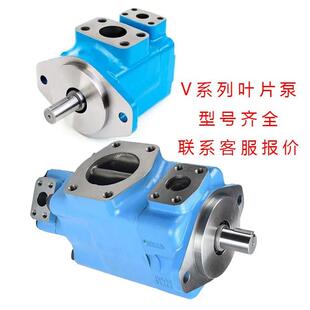 液压泵35V21A/25A/30A/32A/3v5A/38A/45A-1D/1B/1C/1A-22R/22L油