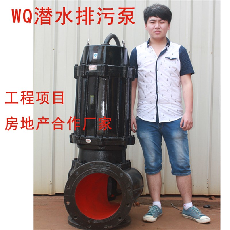 150WQ2f00-22-22千瓦潜水泵 无堵塞潜水泵防堵效果好抽水潜水泵