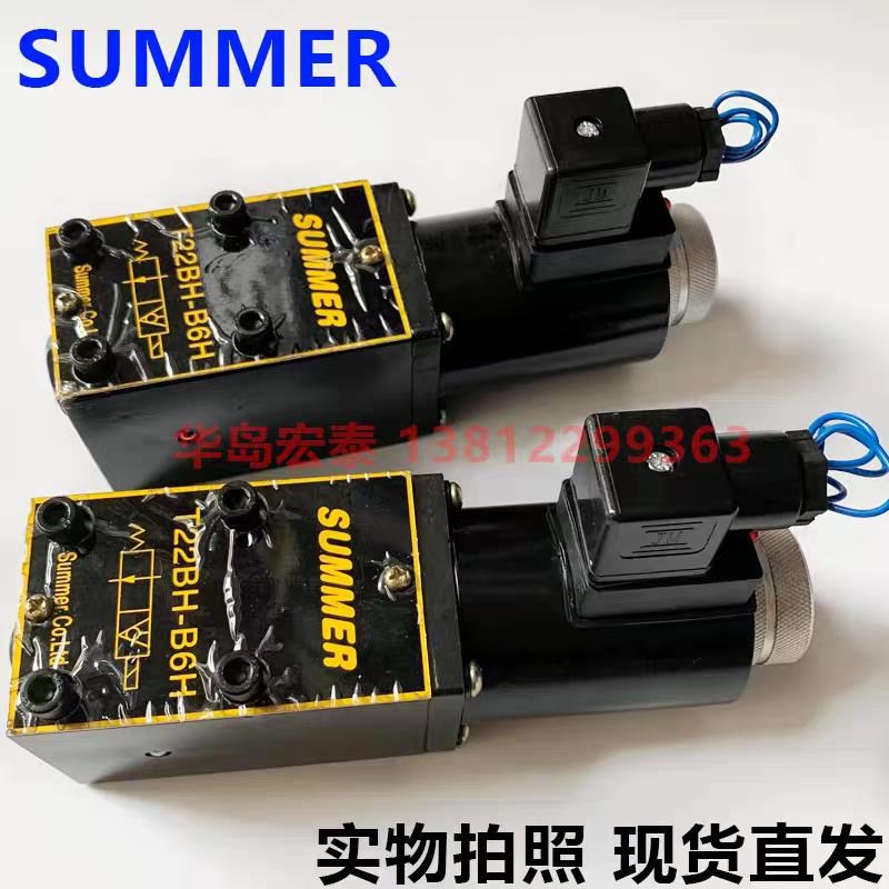 SUMMER 导轨器溢流阀电磁阀DB10-1-30/31.G5,T22BH-B6H,AJ-Ha10B