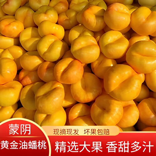 黄油蟠桃新鲜水果蒙阴包邮