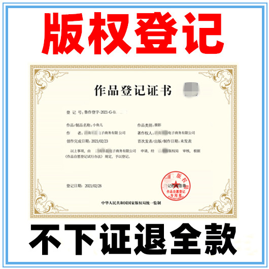 加急美术作品版权登记logo图片著作权申请注册代办理摄影贵州山东