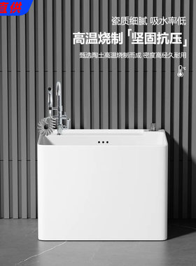 特价拖把池家用阳台拖把盆卫生间