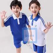T恤长裤 男女短袖 速干运动套装 蓝心蓝语深圳校服小学生夏季