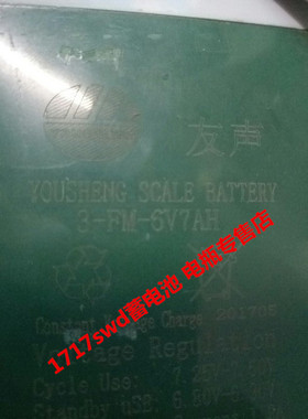 YOUSHENG友声蓄电池 3-FM-6V7AH 6V7AH 玩具车 电子称 台秤用电瓶
