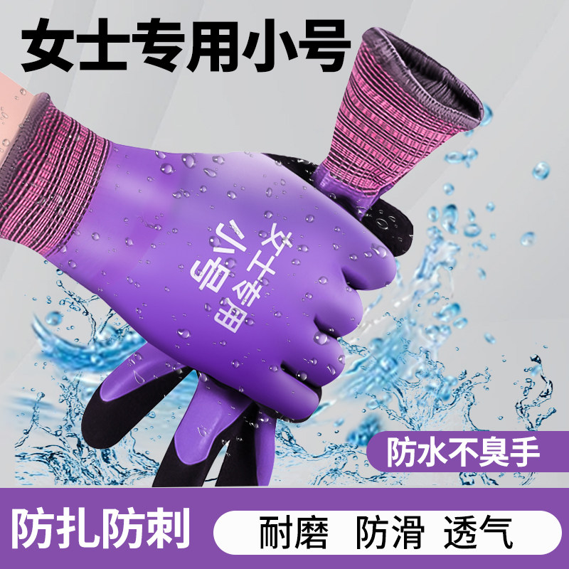 手套赶海乳胶女士小号抓螃蟹图片
