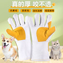 防抓防咬手套防猫抓咬猫剪指甲防狗咬训狗抓猫宠物狗狗猫咪神器厚