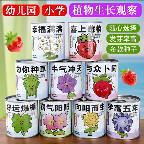 儿童DIY种植小盆栽桌面绿植罐头