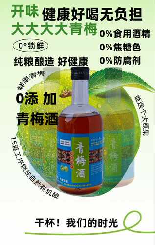 青梅酒聚会20度梅子酒酸梅纯粮酿造水果酒米酒浸泡家乡特产伴手礼