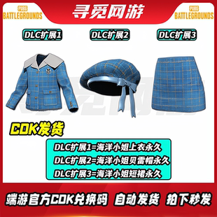 PUBG绝地求生海洋小姐系列Steam吃鸡上衣短裙贝雷帽皮肤兑换码CDK