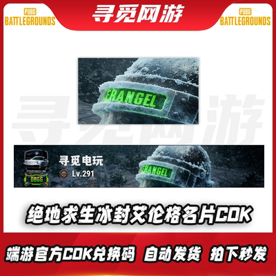 PUBG绝地求生冰封艾伦格名片抖音专属全新名牌名片铭牌CDK兑换码