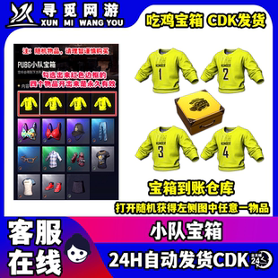 PUBG绝地求生小队宝箱随机运动衫衣服Steam端游吃鸡皮肤激活码CDK