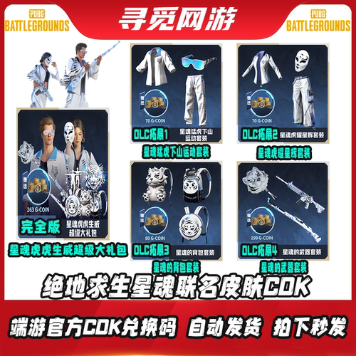 PUBG绝地求生星魂联名大礼包吃鸡白运动上衣裤子滑雪镜CDK兑换码