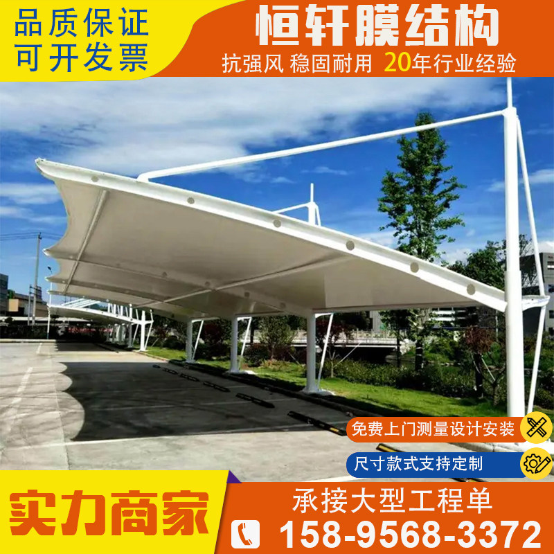 Ĥ�ṹͣ�������������˲����Ż���γ���ֽṹ�綯����ͳ�����