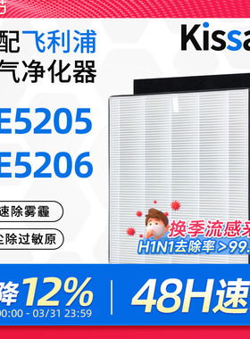 适用飞利浦空气净化器除湿机过滤网DE5205/FY1119/DE5206滤芯HEPA