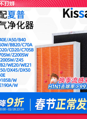 适配夏普空气净化器滤网KC-W200/WB2/BB20/Z200/CD20BD复合过滤芯