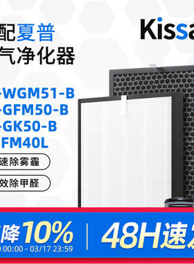 适配夏普空气净化器过滤网FU-GK50/FP-FM40L滤芯除甲醛FZ-F40SFE