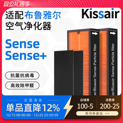 适配布鲁雅尔片装空气净化器滤网