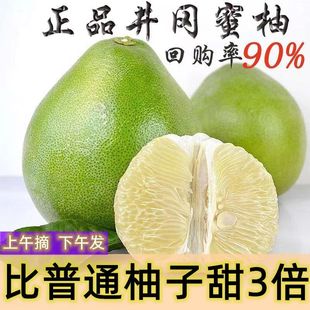 正宗江西井冈蜜柚金兰柚子特产新鲜青皮水果金沙白心安福蚕子孕妇