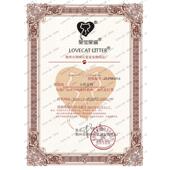 爱宠爱猫原味猫砂豆腐猫砂 6包猫沙无尘砂猫咪除臭用品