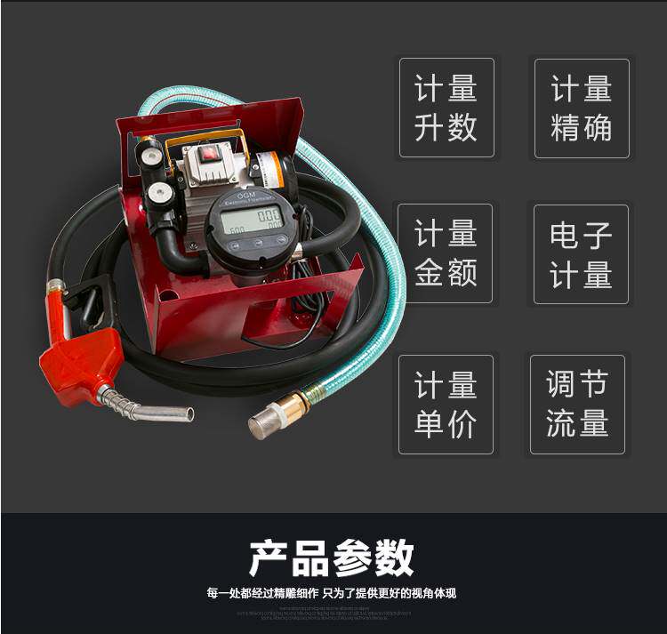 12v24v220v伏组合计量泵柴油加油抽油泵计量加油泵总成机械加油机