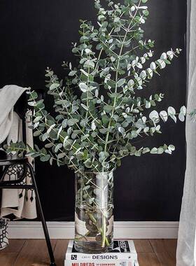 Vase furnishing articles flower arranging transparent glass