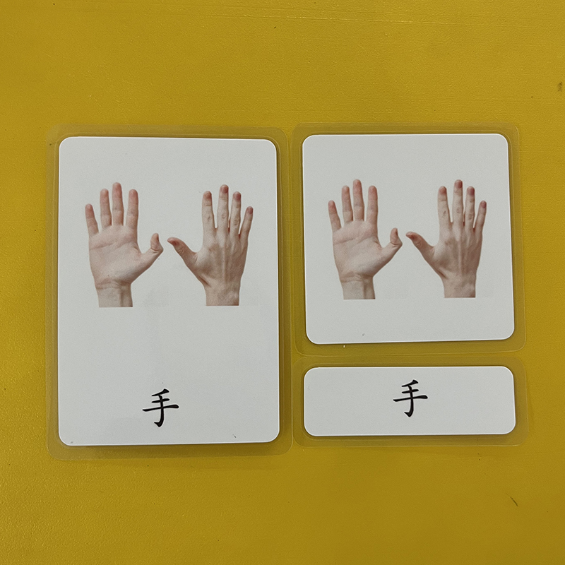 蒙氏幼儿园语言区中文三段卡教具