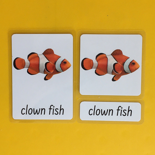 英语启蒙蒙氏教学语言区三段卡sea animals海洋动物主题闪卡教具