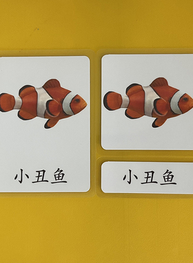 早期启蒙训练蒙氏语言区中文三段卡seaanimals海洋动物闪卡巨划算