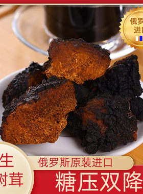 俄罗斯菌精选桦树茸高品质