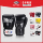 Перчатки для муай-тай Fairtex Philippine Боксерские перчатки BGV1 Кожаные перчатки для муай-тай для детей, мужчин и женщин, тренировки с мешками для песка mini 0