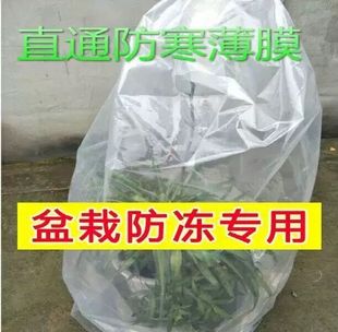 桂花树保温罩塑料薄膜盆景保护套花卉保温袋温室棚。绿植套袋冬季