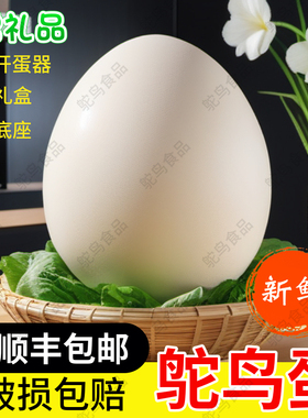农家散养 新鲜鸵鸟蛋 绿色健康食用斗蛋送礼盒 破损包赔 送货上门