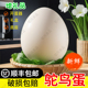 破损包赔 绿色健康食用斗蛋送礼盒 送货上门 新鲜鸵鸟蛋 农家散养