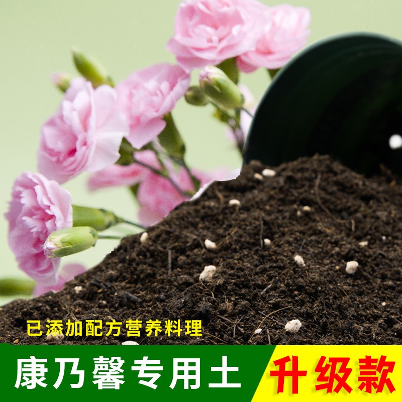 康乃馨专用土有机土肥料家用种植土康乃馨营养土盆栽养花通用包邮