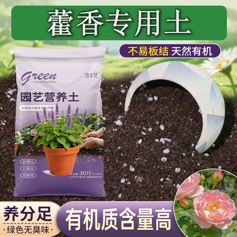 藿香适用泥炭土疏松透气室内大包精选壮根观叶腐叶土园艺育苗增色
