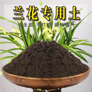 养兰花专用土营养土兰草肥料植土兰花土大花惠兰种君子兰盆栽植料