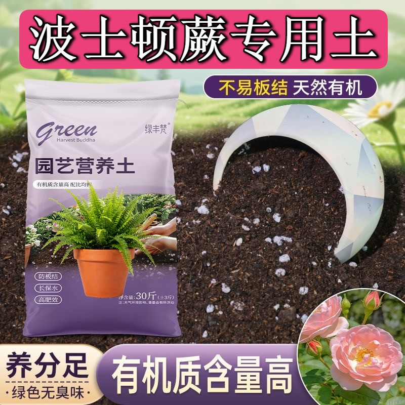 波士顿蕨专用栽培土根壮苗好防烂根育苗大包优质壮根观花盆栽花园