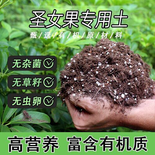 圣女果专用土家用盆栽绿植通用营养土养花轻质蓬松有机花泥肥料土
