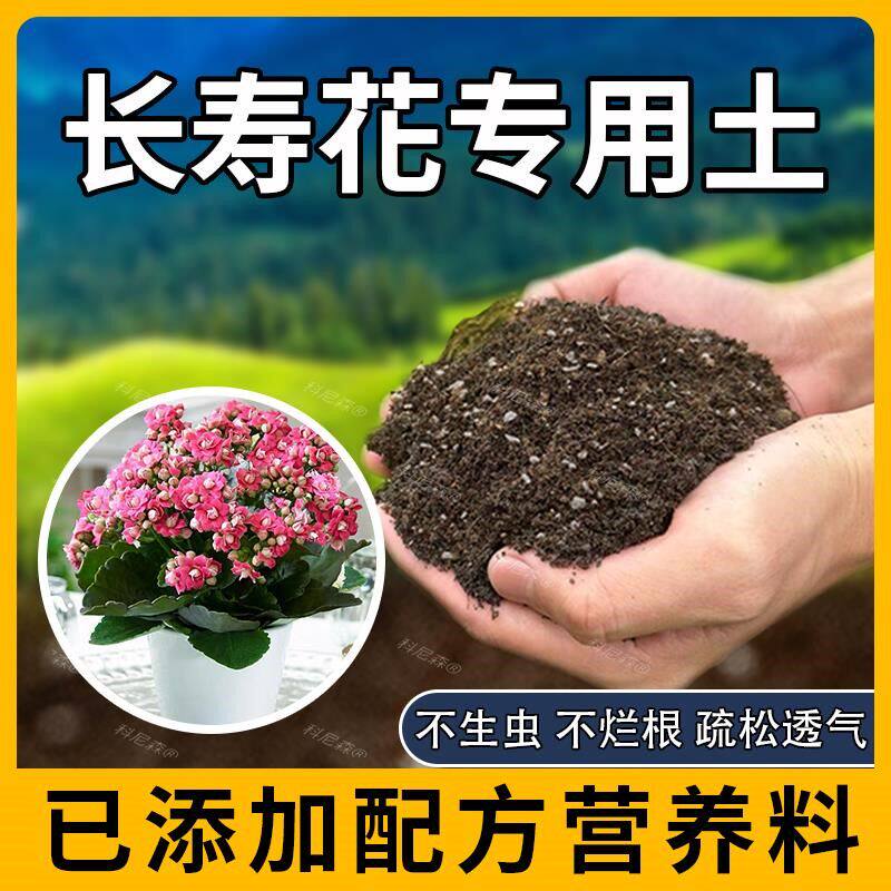 长寿花专用土长寿花专用肥料植物养花鲜花花盆室内阳台黑土天然土
