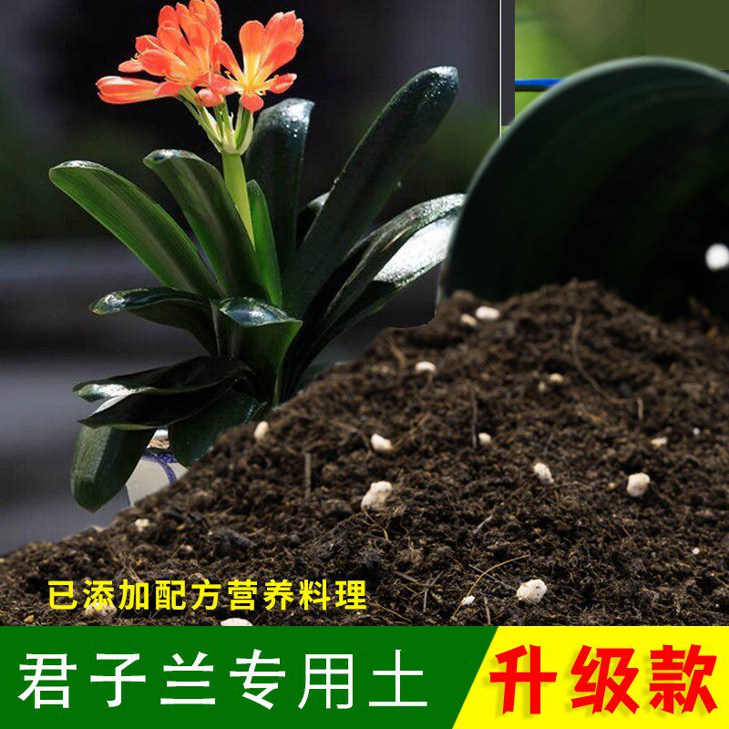 君子兰专用土盆栽营养土专用优质透气室内盆栽花泥碳土绿植有机土