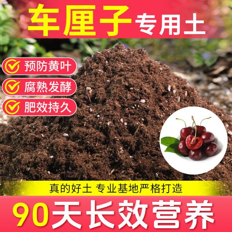 车厘子专用土车厘子营养土盆栽土养花种花土通用种植土壤有机肥料