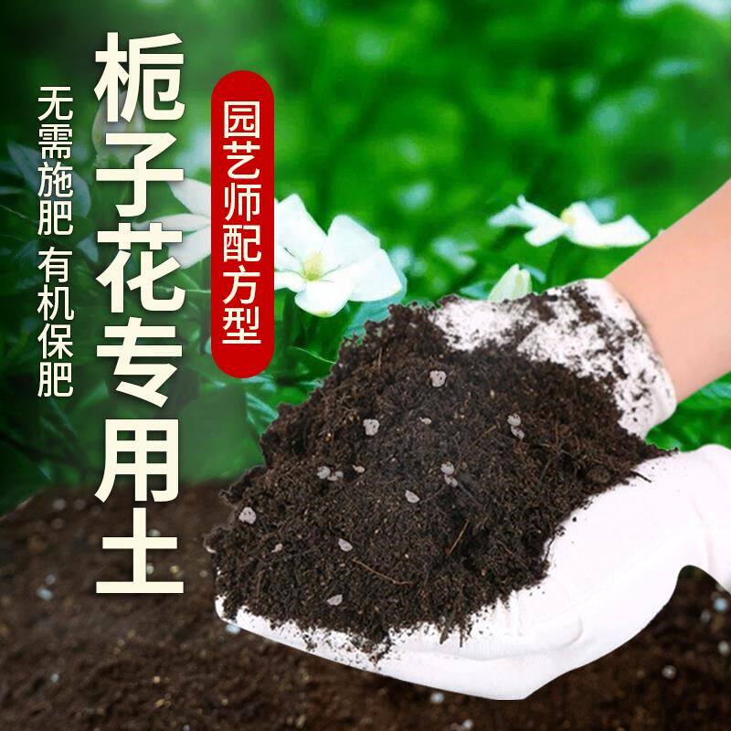 栀子花专用土育苗花土养花种植栀子花专用肥料透气营养土盆栽土壤