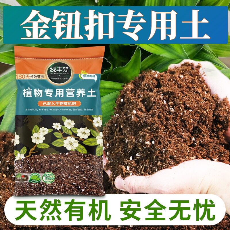 金钮扣专用轻质园艺土养分持久盆栽土温和不烧根促生长实惠装观叶