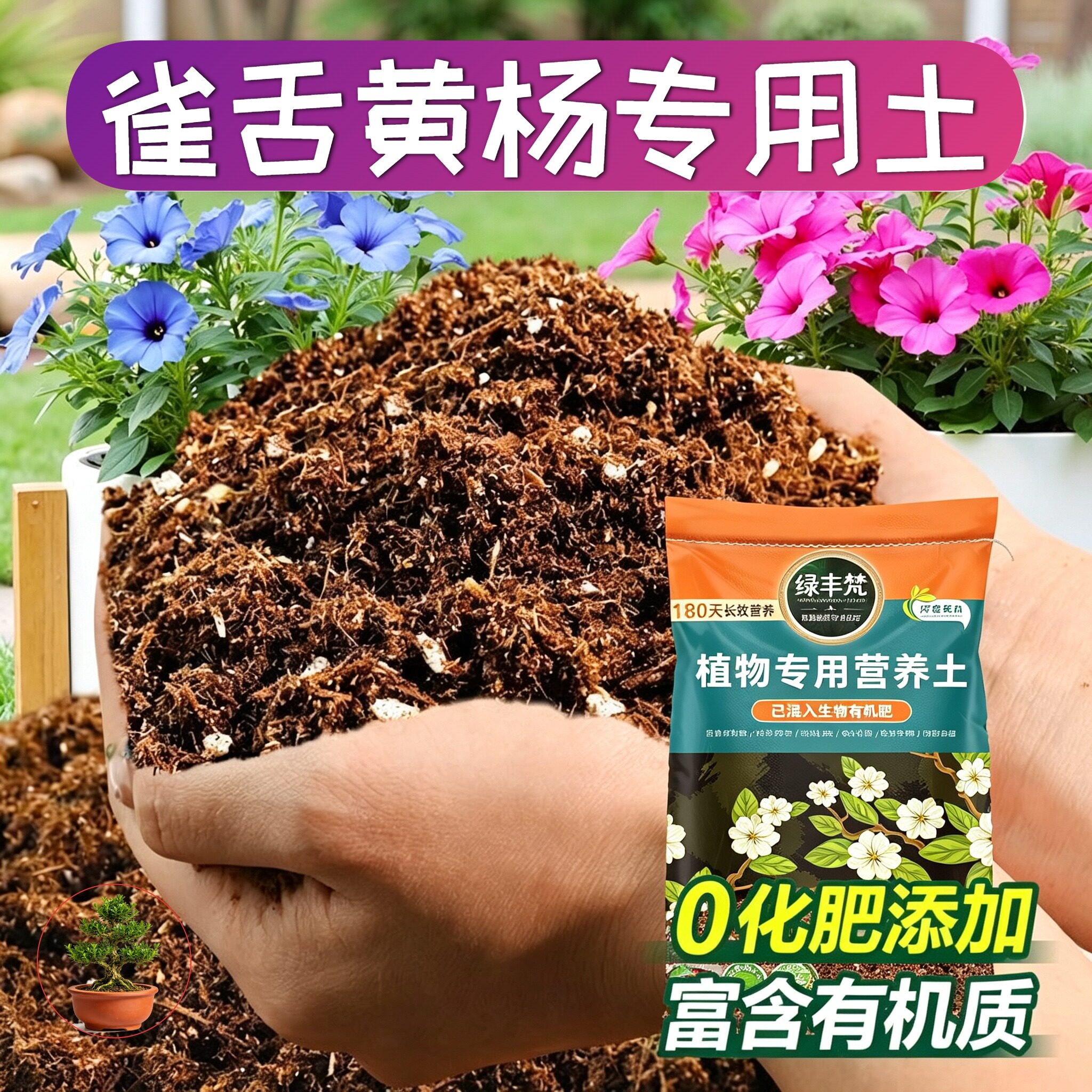 雀舌黄杨适用育苗土养分持久种植土干净无尘平衡土质试用装观叶