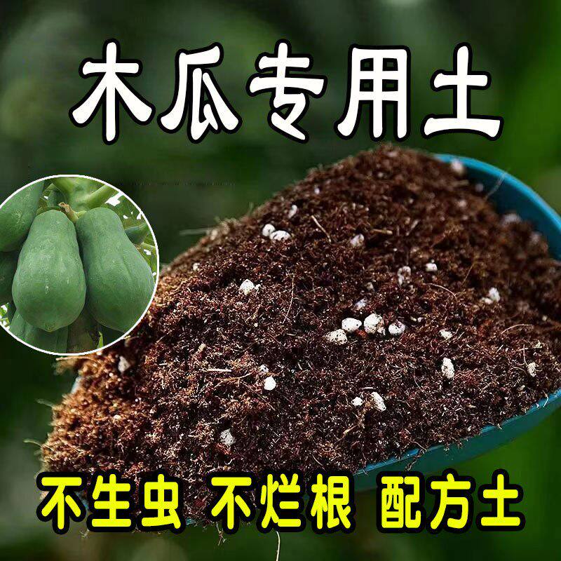 木瓜树专用营养土 木瓜树专用土 盆栽花土种花养花种植土壤通用型