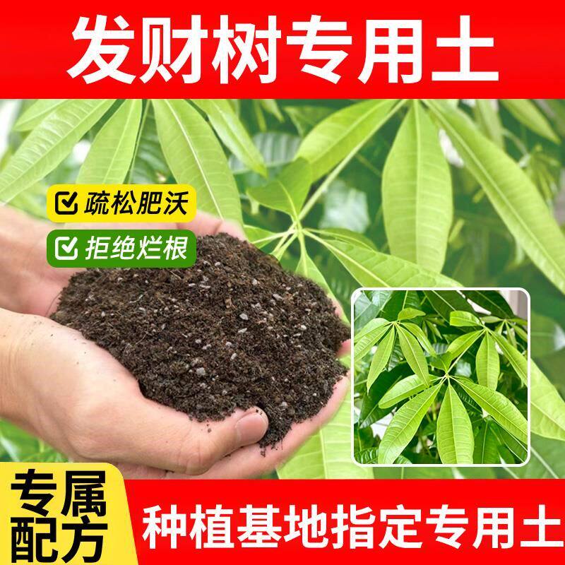 发财树专用土发财树专用营养土天然泥土种菜土盆栽土壤有机蓬松