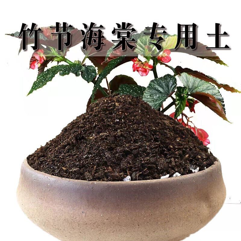 竹节海棠专用土竹节海棠土盆栽肥料种花泥土营养土种植土壤养花土