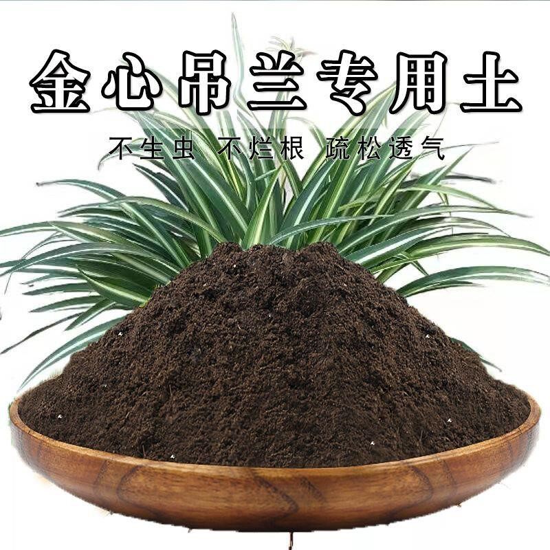 金心吊兰专用土吊兰土盆栽营养土通用种花养花泥土壤种植土有机肥