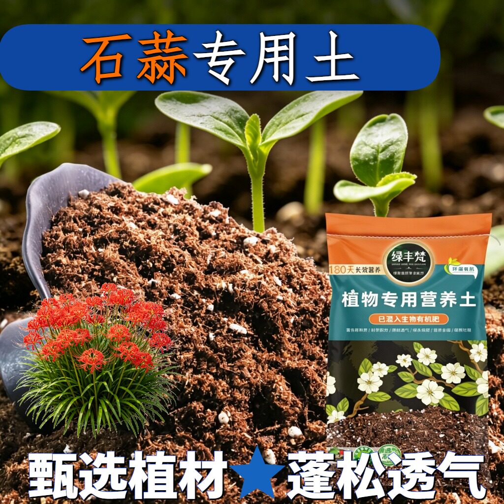 石蒜适用配方土促开花盆景盆栽土不易粉化保水锁水无草籽观花家用
